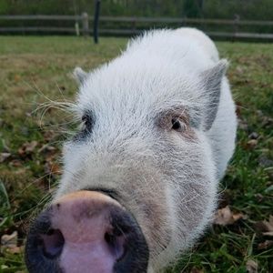 Meet your Posher, Michelle